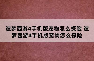 造梦西游4手机版宠物怎么探险 造梦西游4手机版宠物怎么探险